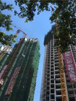 桂林市八里街金泽众望城32层固美外墙腻子粉